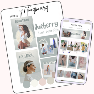 Ain't No Party E-Commerce Canva Template Pack