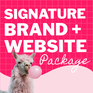Our Signature Branding + Website Optimization Package