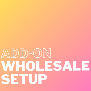 Wholesale Setup for Shopify